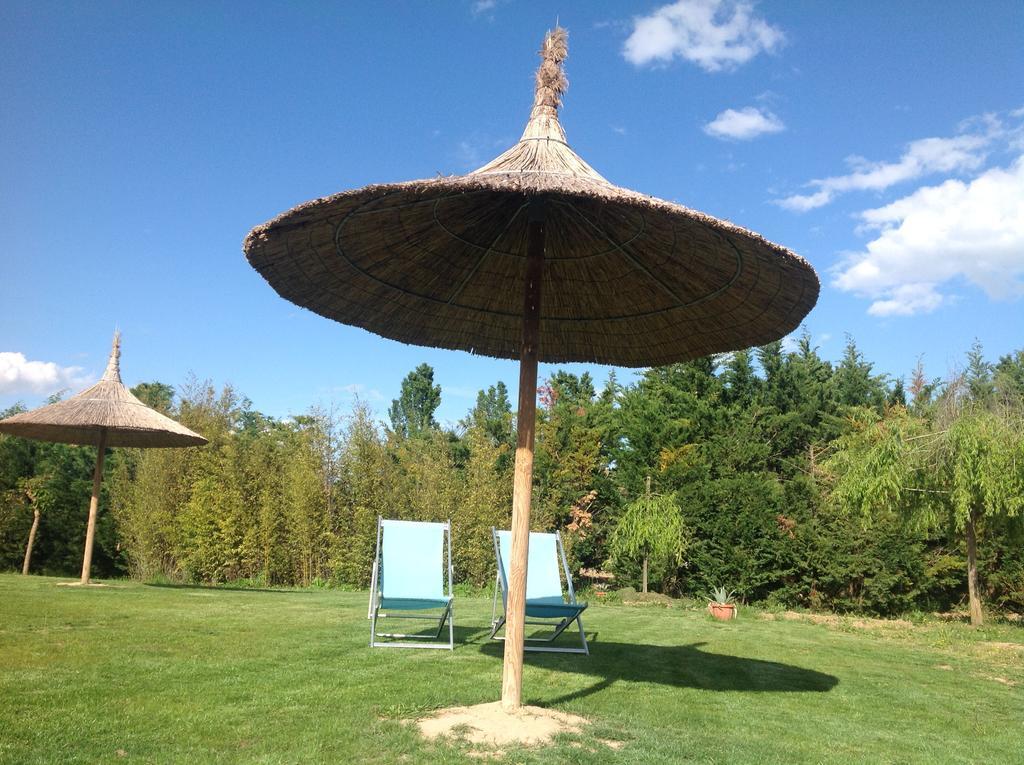 Agriturismo Dolce Verde Castiglione del Lago Ngoại thất bức ảnh