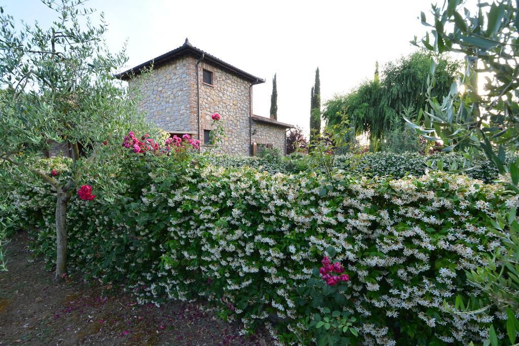 Agriturismo Dolce Verde Castiglione del Lago Ngoại thất bức ảnh