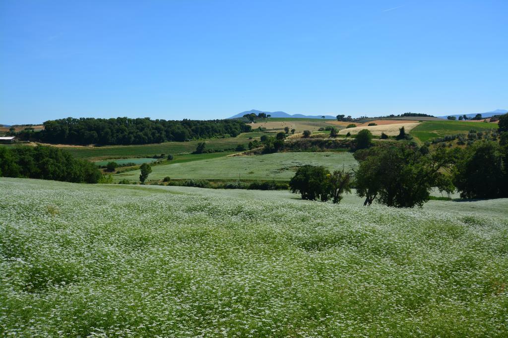 Agriturismo Dolce Verde Castiglione del Lago Ngoại thất bức ảnh