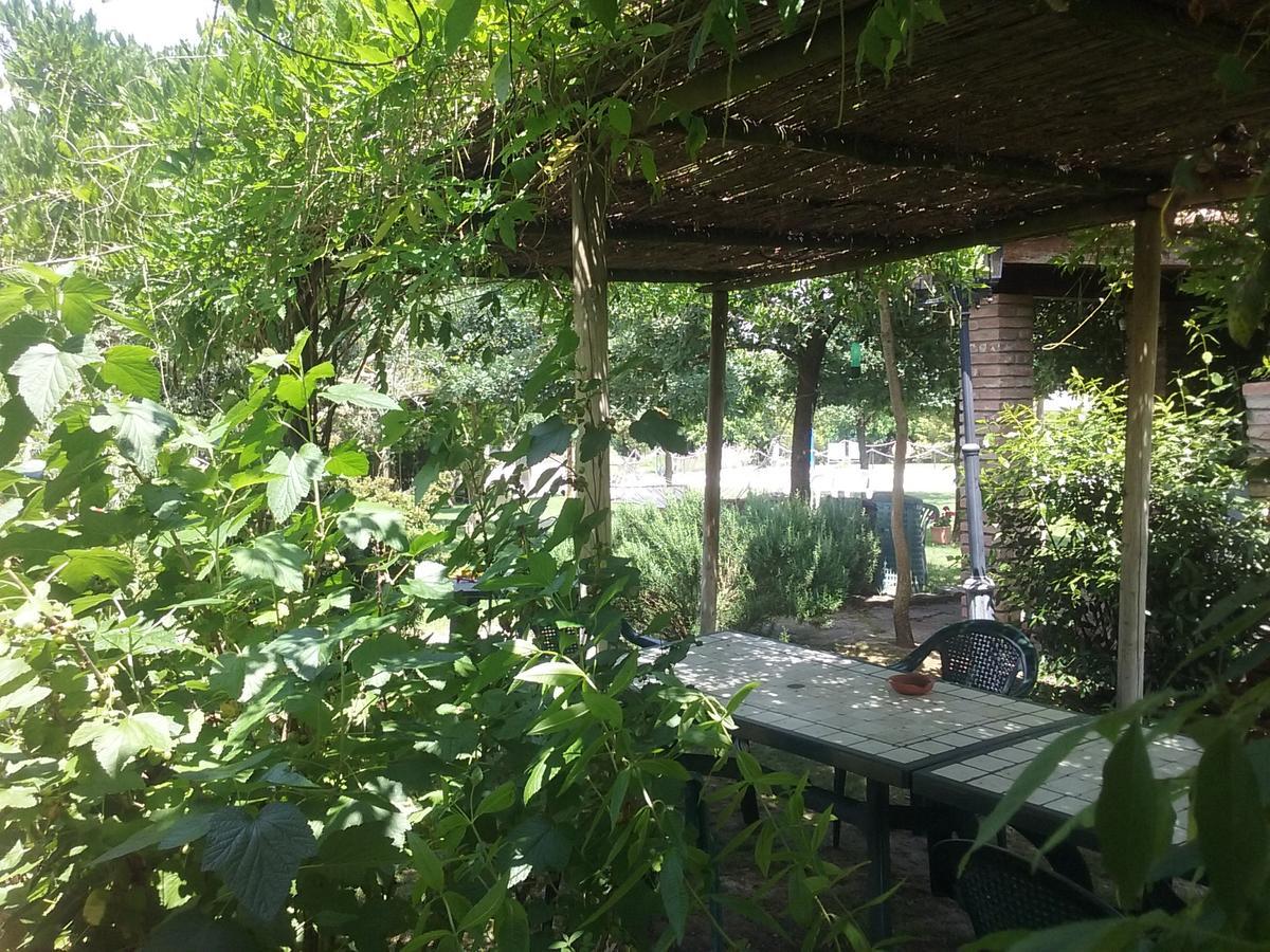 Agriturismo Dolce Verde Castiglione del Lago Ngoại thất bức ảnh