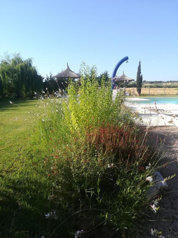 Agriturismo Dolce Verde Castiglione del Lago Ngoại thất bức ảnh